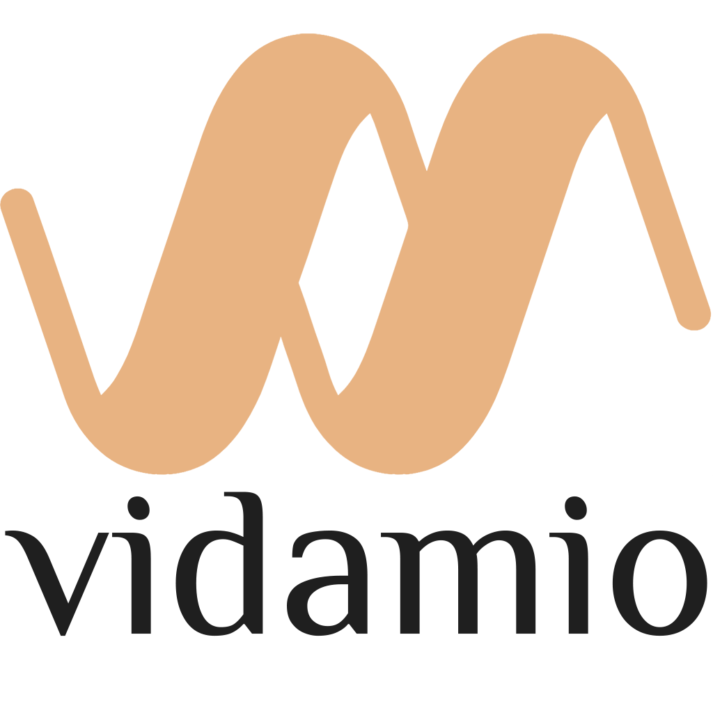 Vidamio Logo